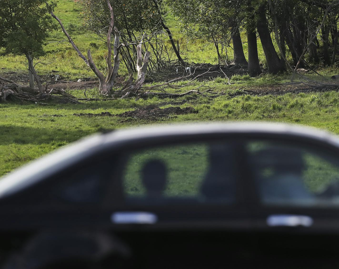 The remains of Jacob Wetterling were recovered in this tree line area of a cow pasture of Stearns County Road 85 Northeast of town .]In Paynesville, Minnesota.RichardTsong-Taatarii richard.tsong-taatarii@startribune.com ORG XMIT: MIN1609041055300861