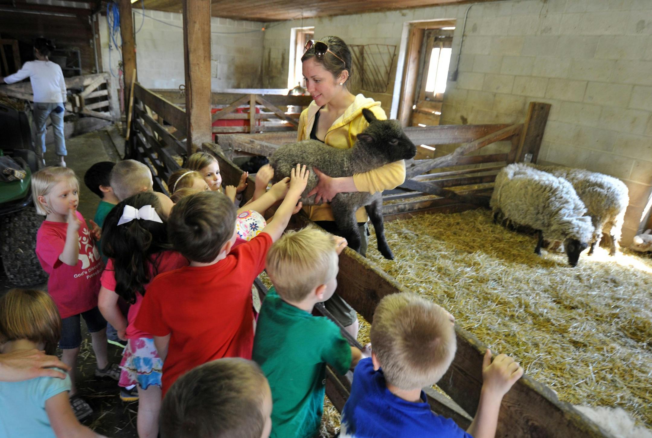Photo by Liz Rolfsmeier
Kids pet a sheep held by Dodge Nature Center staff member Courtney Luensman in 2013.