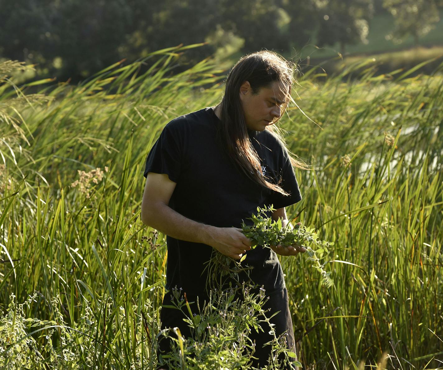 Photo credit: Nancy Bundt
Sean Sherman, chef and author of "The Sioux Chef's Indigenous Kitchen."