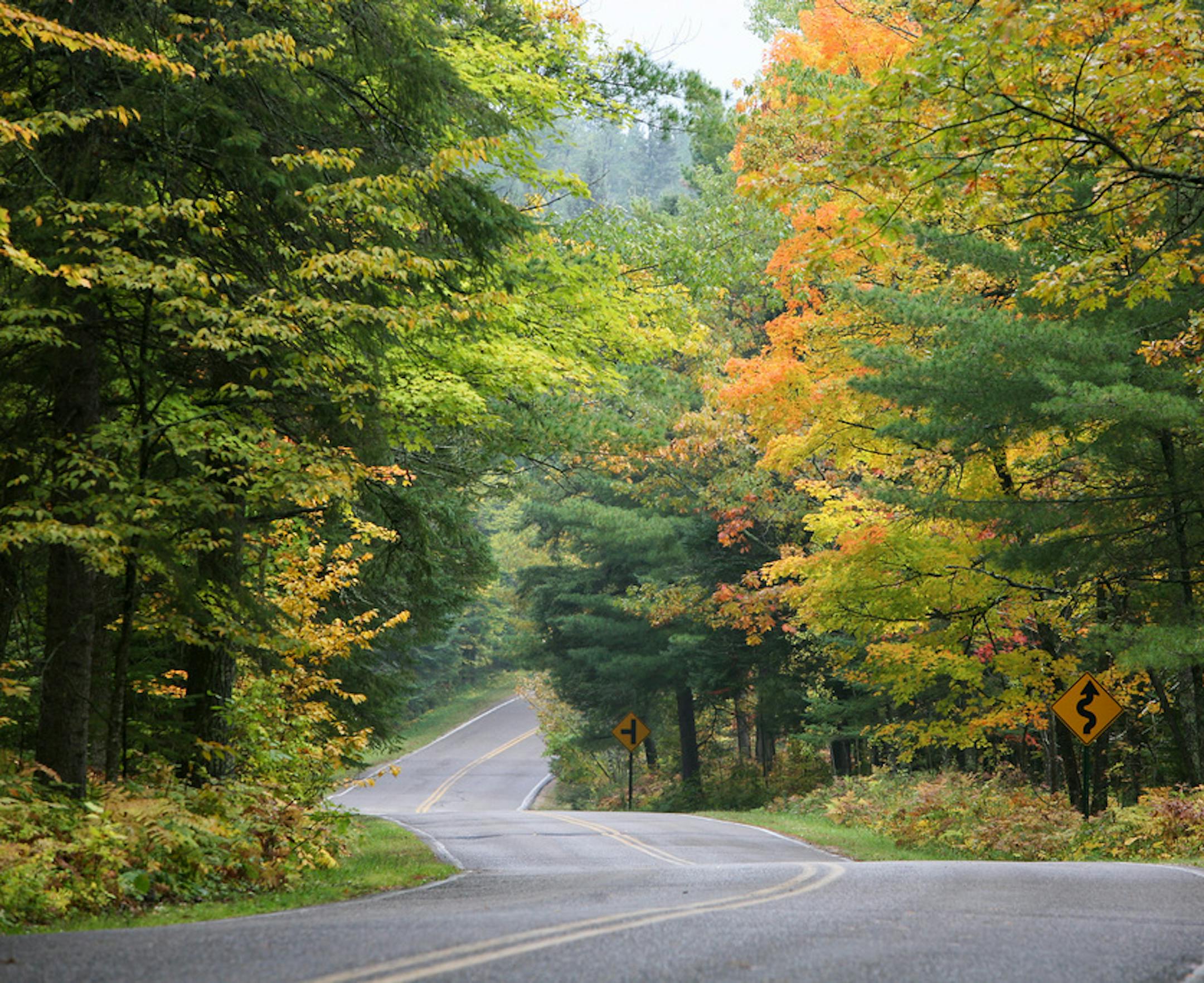 The road through Itasca State Park near Park Rapids, Minn.