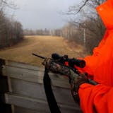 The utitlity of a hunting shack depends on the quality of deer habitat that surrounds it, and the placement of stands. Here a high stand overlooks a crossing between one stand of woods and another.