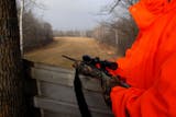 The utitlity of a hunting shack depends on the quality of deer habitat that surrounds it, and the placement of stands. Here a high stand overlooks a crossing between one stand of woods and another.