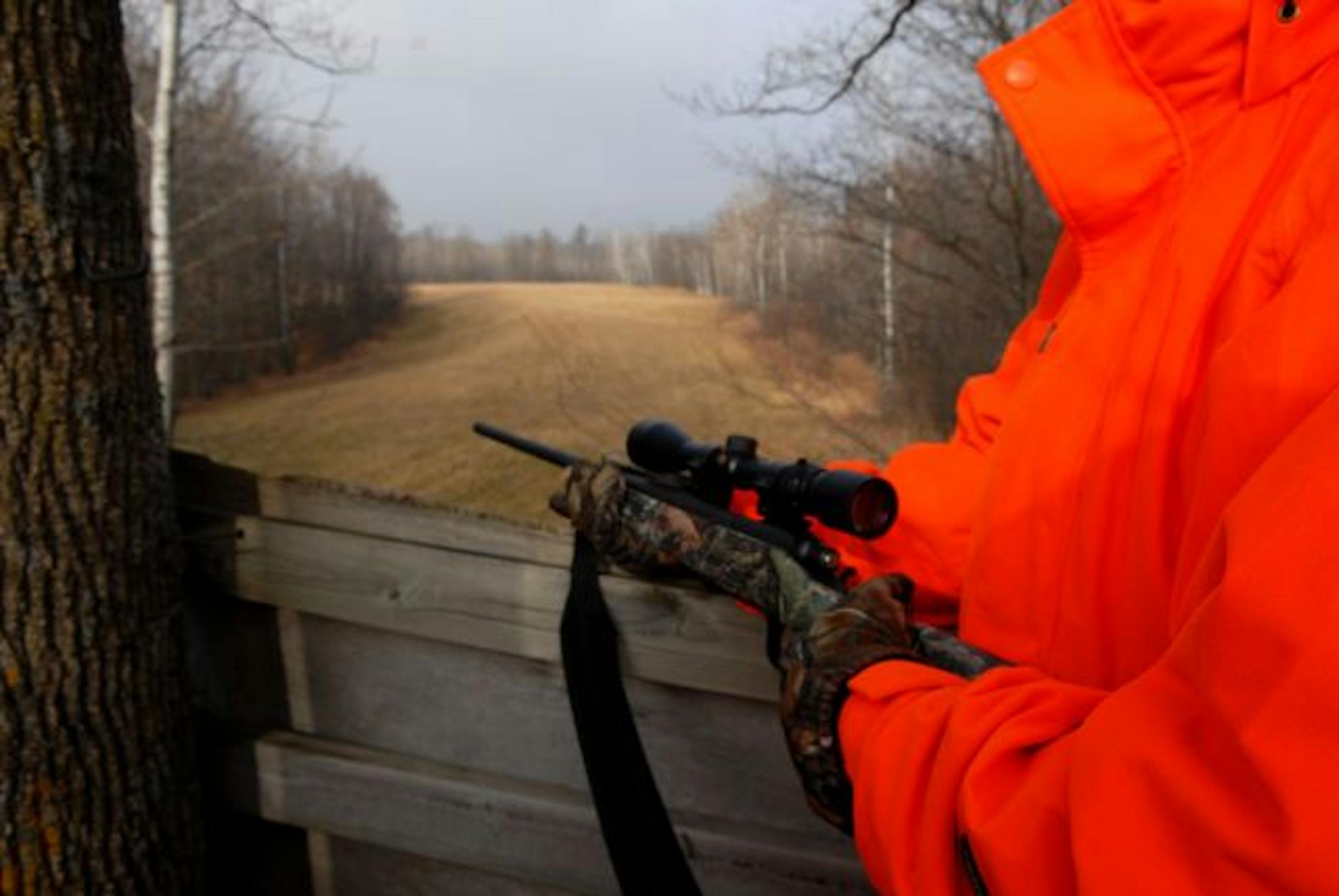 The utitlity of a hunting shack depends on the quality of deer habitat that surrounds it, and the placement of stands. Here a high stand overlooks a crossing between one stand of woods and another.