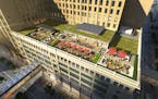 Rendering for the makeover of the Macy&#xed;s Dayton&#xed;s building downtown Minneapolis. ] Credit: Gensler handout rendering