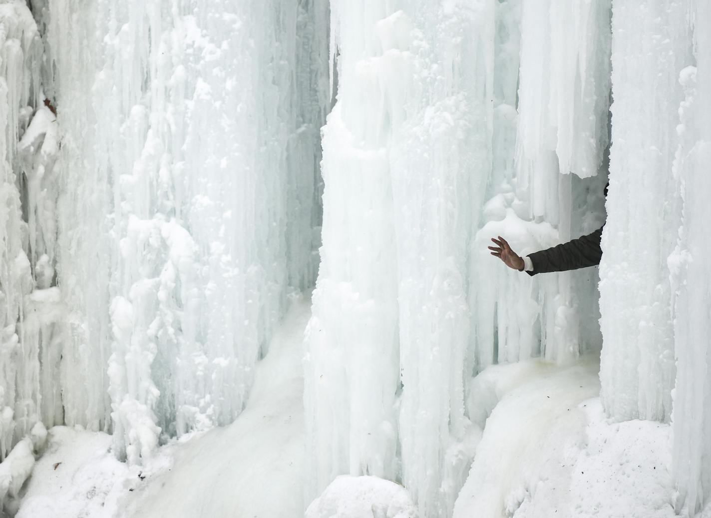 A person waved for a photo from behind Frozen Minnehaha Falls Saturday. ] Aaron Lavinsky &#xa5; aaron.lavinsky@startribune.com Hundreds of park-goers hopped the fences to get a good look at frozen Minnehaha Falls on Saturday, Feb. 2, 2019 in Minneapolis, Minn.