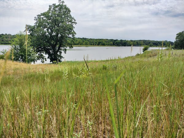 The view of Grey Cloud Slough from what was once a fairway at Mississippi Dunes golf course; the area will reopen to the public soon as a new Cottage 