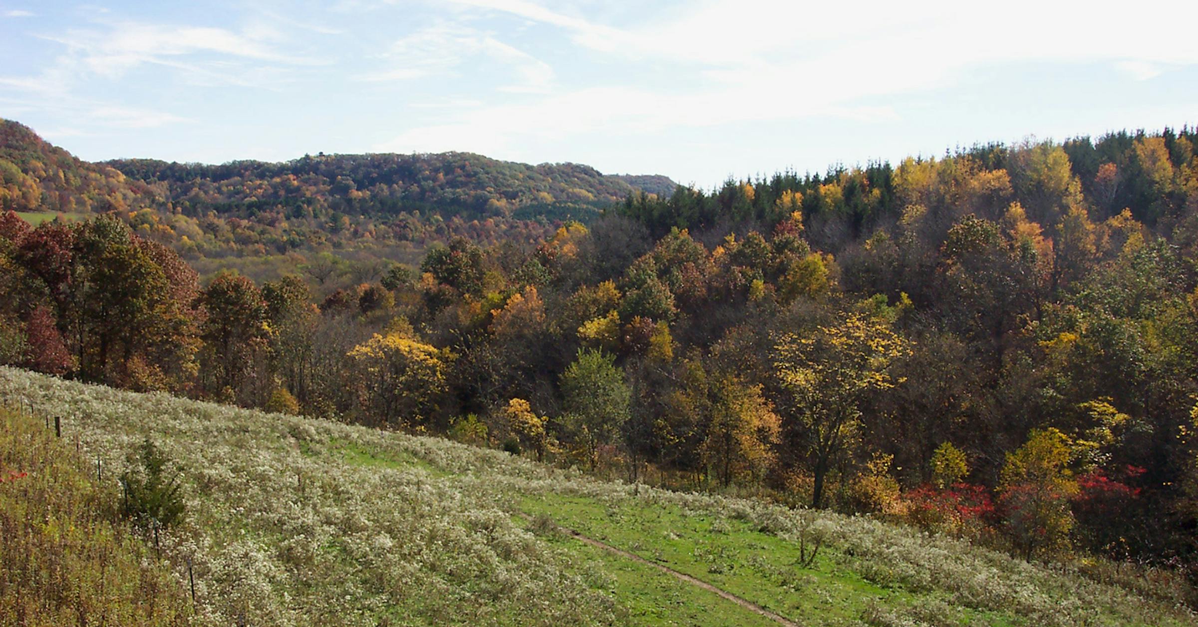 Midwest Traveler: Kickapoo Valley Ranch is a fall-color sanctuary in ...