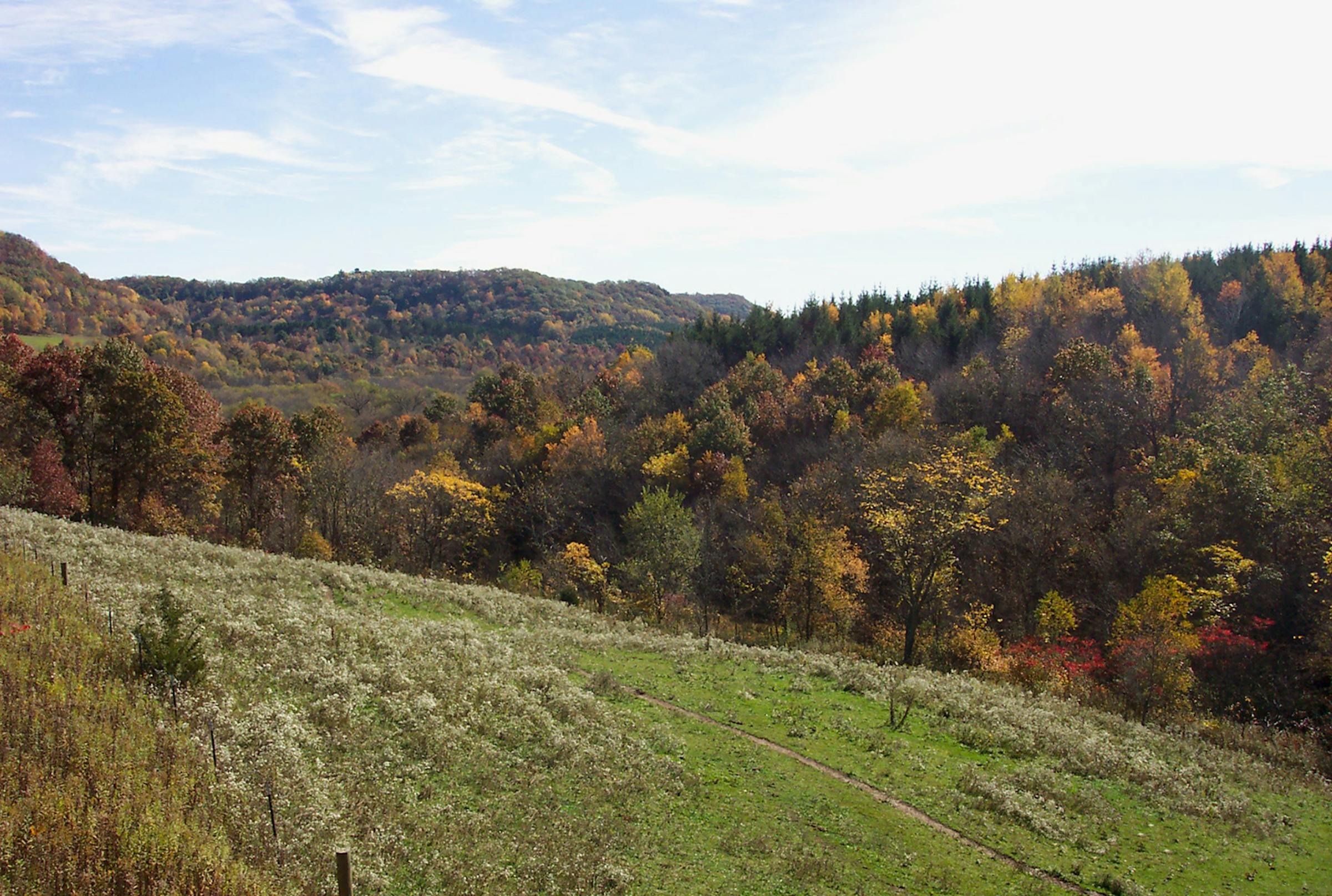 Midwest Traveler: Kickapoo Valley Ranch is a fall-color sanctuary in ...