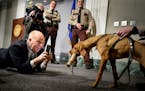 WCCO's Pat Kessler and other media took photos of the adorable Matka. In addition to being an excellent detection dog, Matka was chosen because she is