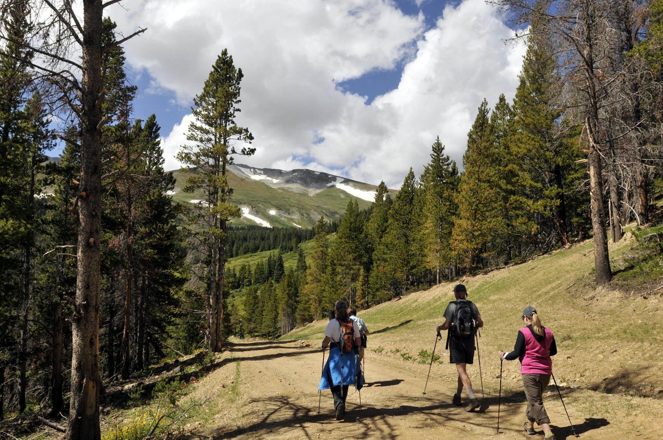 Guided nature hikes in Breckenridge, Colo., come with poles, backpacks and snacks, as well as expert commentary on issues such as which native plants stop bleeding.