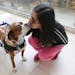 8-year-old boxer rescue, Jordan, gives a smooch to passerby Dani Navarrete during indoor dog-walking hours on Sunday, March 24, 2018 at Rosedale Shopp