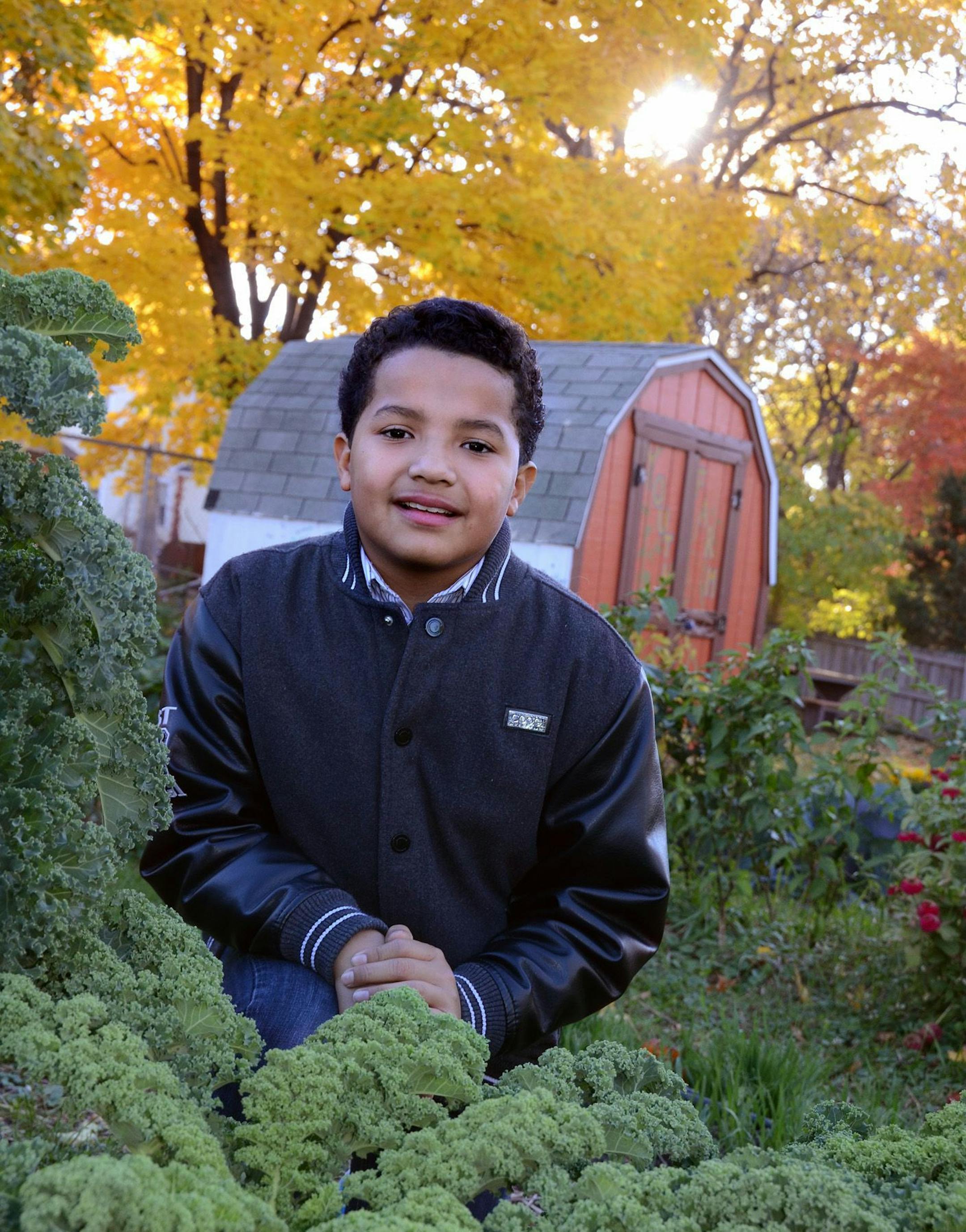 Trayvon Wright is a volunteer with Youth Farm. He kneeled by the kale crop in one of the Youth Farm gardens. He is a sixth grader at Stonebridge World School. ] Joey McLeister,Special to the Star Tribune,Minneapolis,MN October20,2014