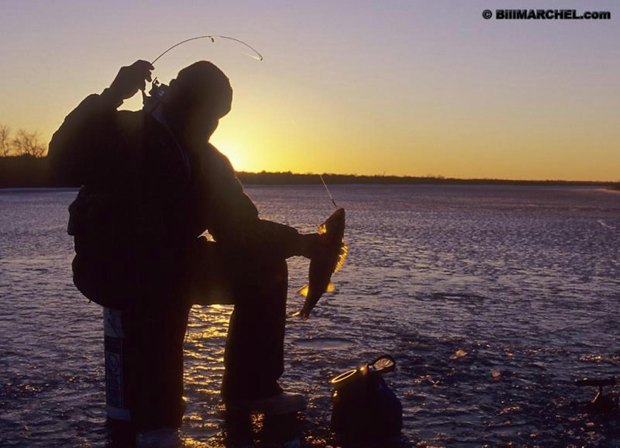 Ice angler displays and early ice walleye.