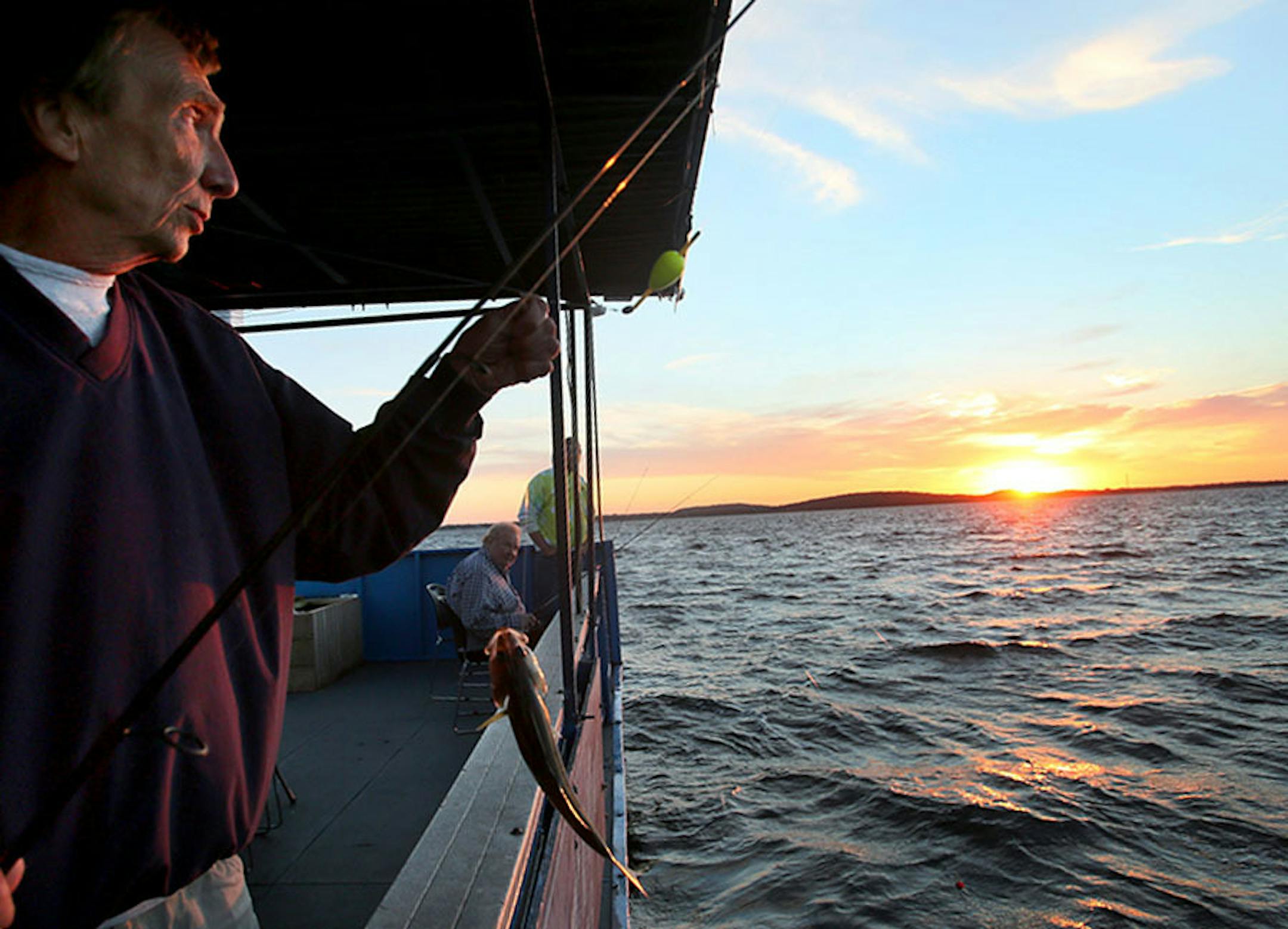 Fisherman Butch Bonander of Coon Rapids pulls in a small walleye he caught on the Twin Pines Resort boat at sunset Wednesday, July 29, 2015, during an evening excursion on Lake Mille Lacs.