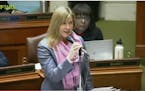 House DFL Minority Leader Melissa Hortman during floor debate Monday night.