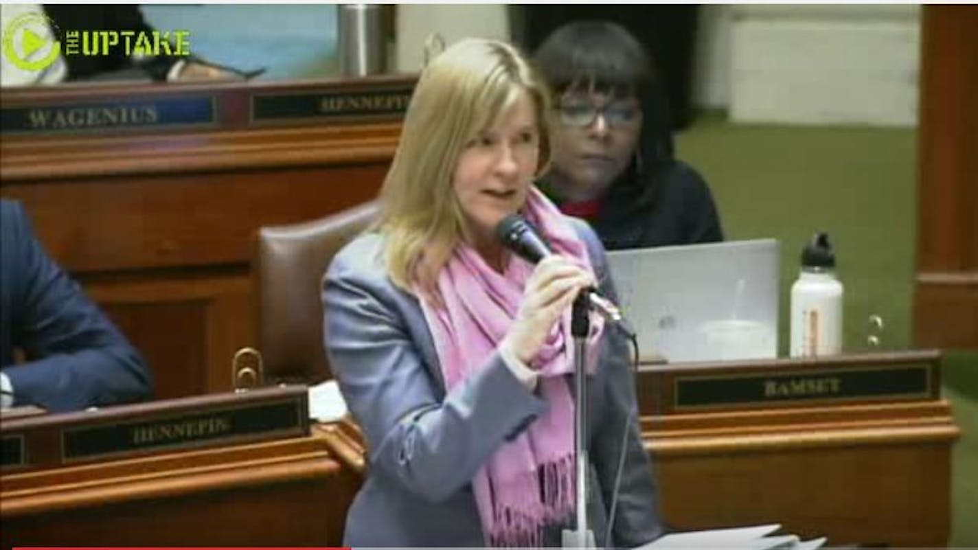 House DFL Minority Leader Melissa Hortman during floor debate Monday night.