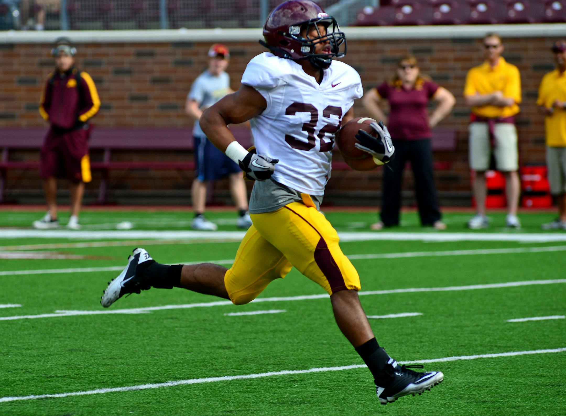 Gophers running back Berkley Edwards
