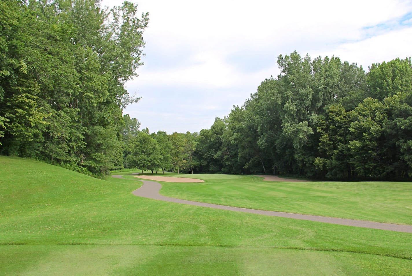 From 2014 to 2018, Chomonix Golf Course in Lino Lakes lost nearly $642,000 and needs $1 million in capital investments over the next five years, according to the county.