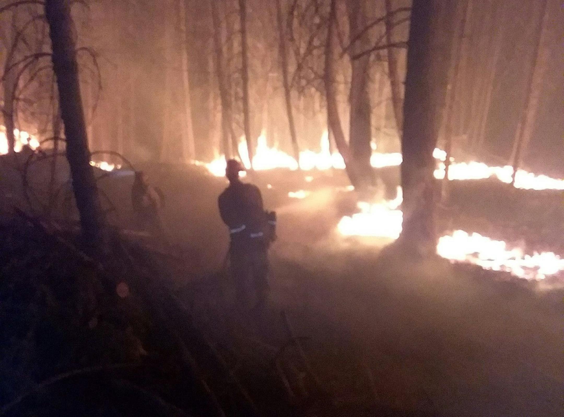 Firefighters work a 1.5 mile burn along a road outside Ukiah, California to try and tie the fire into the control line.