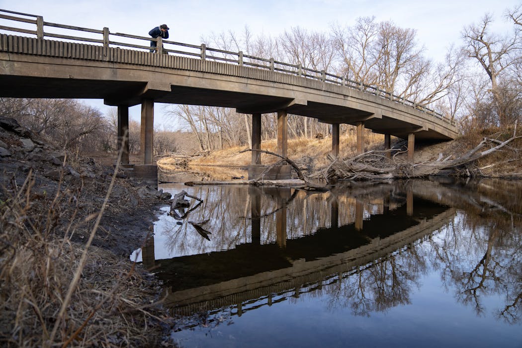 A visitor leaned over a bridge leading to Pike Island to look for beavers on Nov. 22 at Fort Snelling State Park.