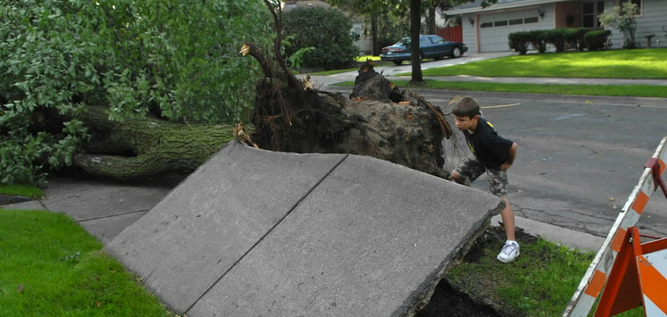 Sam Strandness, 10, looks over a tree that fell which uprooted a sidewalk, Tuesday, Aug. 28, 2007, in Minneapolis, after an early morning storm moved through the area. (AP Photo/The Star Tribune, Richard Sennott) ** ST. PAUL PIONEER PRESS OUT NO SALES ** ORG XMIT: MNMIT103 Richard Sennott
