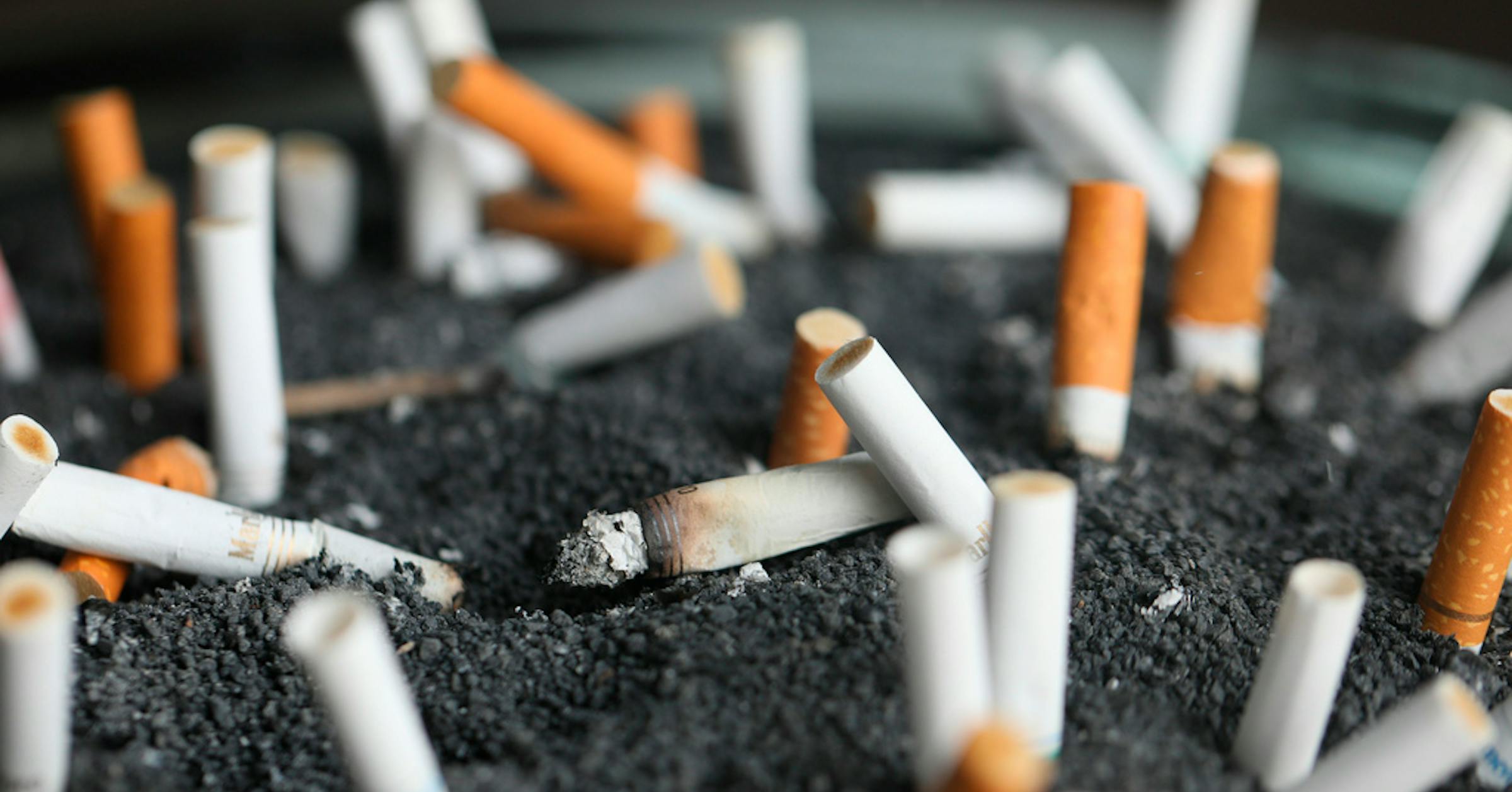 where to buy vogue menthol cigarettes Vogue SuperSlim Menthe (Menthol) ๐ โฃ Duty Free Price โฃ 5โฌ๐ where to buy vogue menthol cigarettes Vogue SuperSlim Menthe (Menthol) ๐ โฃ Duty Free Price โฃ 5โฌ๐