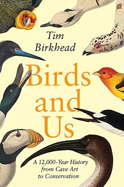 Reviews: 'Birds and Us,' by Tim Birkhead and 'The Book Eaters,' by Sunyi Dean