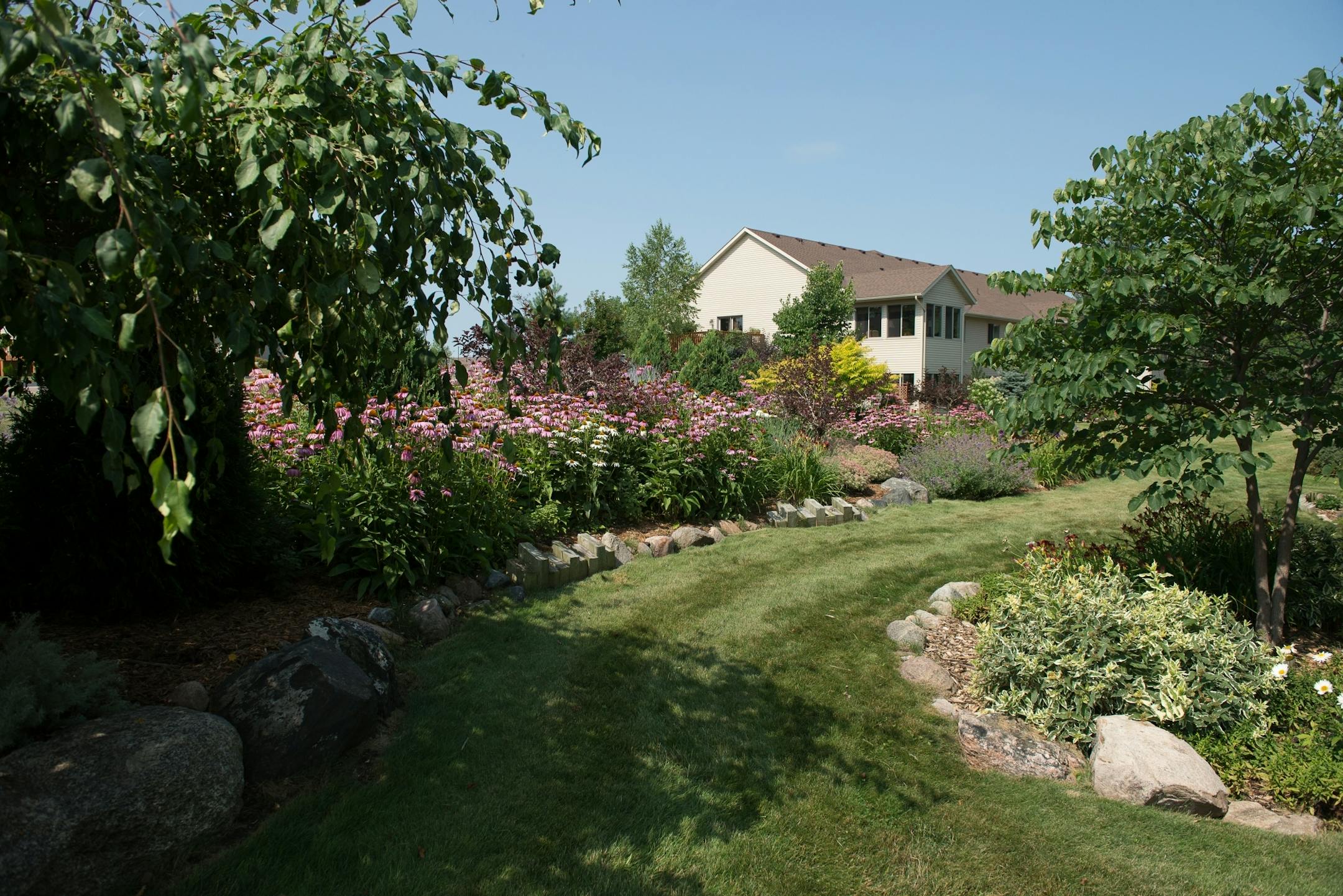 Dan and Nancy Engebretson's garden, seen from the common space that they tend to in addition to their personal space, is in bloom in Elysian, Minnesota on July 31, 2014. [ Angela Jimenez/Special to the Star-Tribune angelajime@gmail.com Assignment #20035606A_ SLUG: ENGEBRETSON100114_ EXTRA INFORMATION: Since 2006, the Engebretsons have designed and tended to their own garden, and have transformed the common space near their home into a landscaped, shared garden space in the Lakeview Manor Townhom