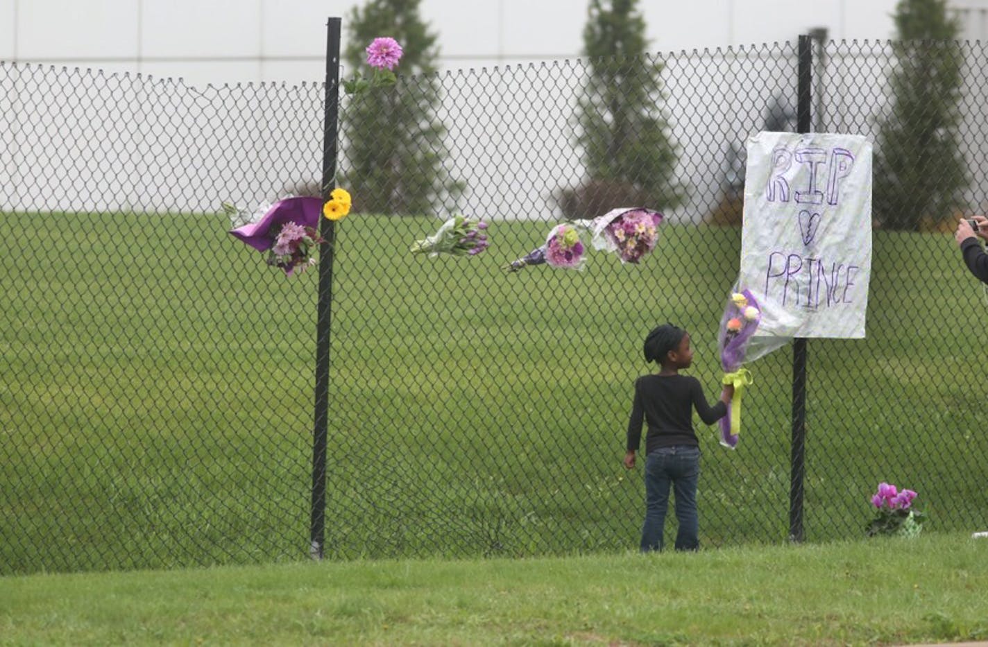 Barbara Wilcox, 4, at Paisley Park in Chanhassen on the news of artist Prince death. ] Photo Jim Gehrz Star Tribune 4/21/1916 Chanhassen, MN