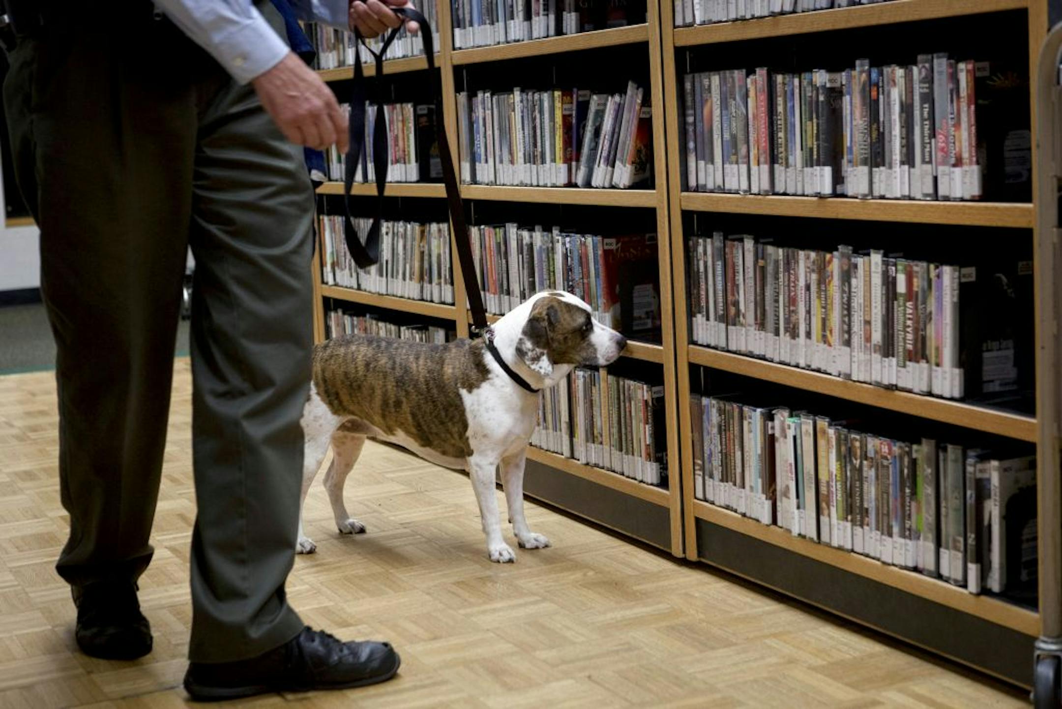 Mark Lillis of Schendel Pest Services and his bedbug-sniffing dog, Patches.