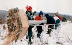 December 08, 1994 (far left) Randy Christman of the Raptor Resource Project directed middle team students from the Marcy Open Elementary School Minnea
