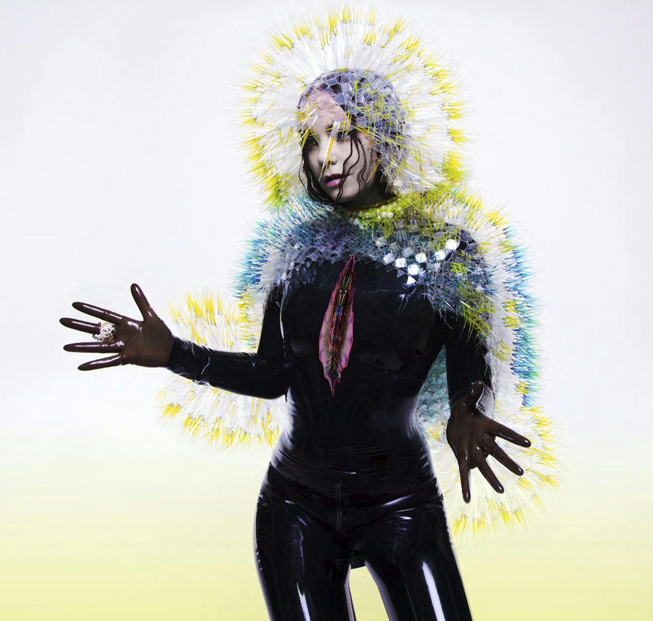 Bjork, Vulnicura