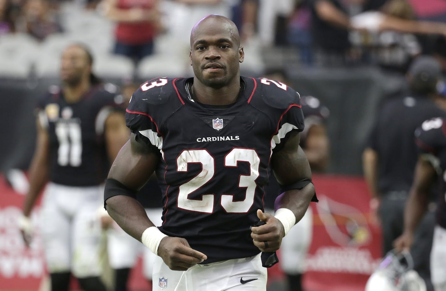 Arizona Cardinals running back Adrian Peterson (23) runs back onto the field prior to the second half of an NFL football game against the Tampa Bay Buccaneers Sunday, Oct. 15, 2017, in Glendale, Ariz. (AP Photo/Rick Scuteri)