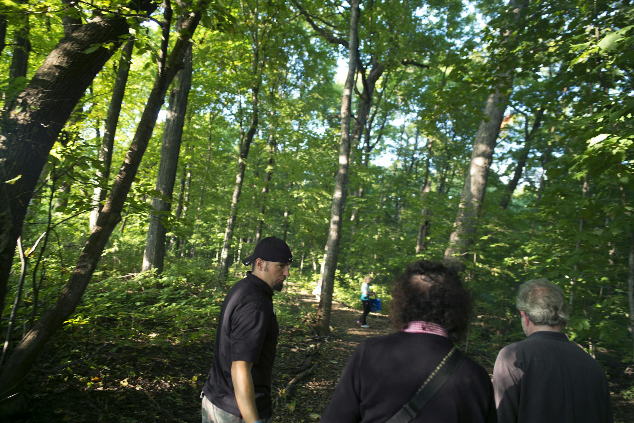 Brett Sieberer, a naturalist with the Three River Park system gave a tour of the Wayzata Big Woods which celebrated its 10th anniversary on Sept. 25. The public park is a rare urban remnant of the historic Big Woods that once covered Minnesota and the eastern United States, .]Richard Tsong-Taatarii/rtsong- taatarii@startribune.com