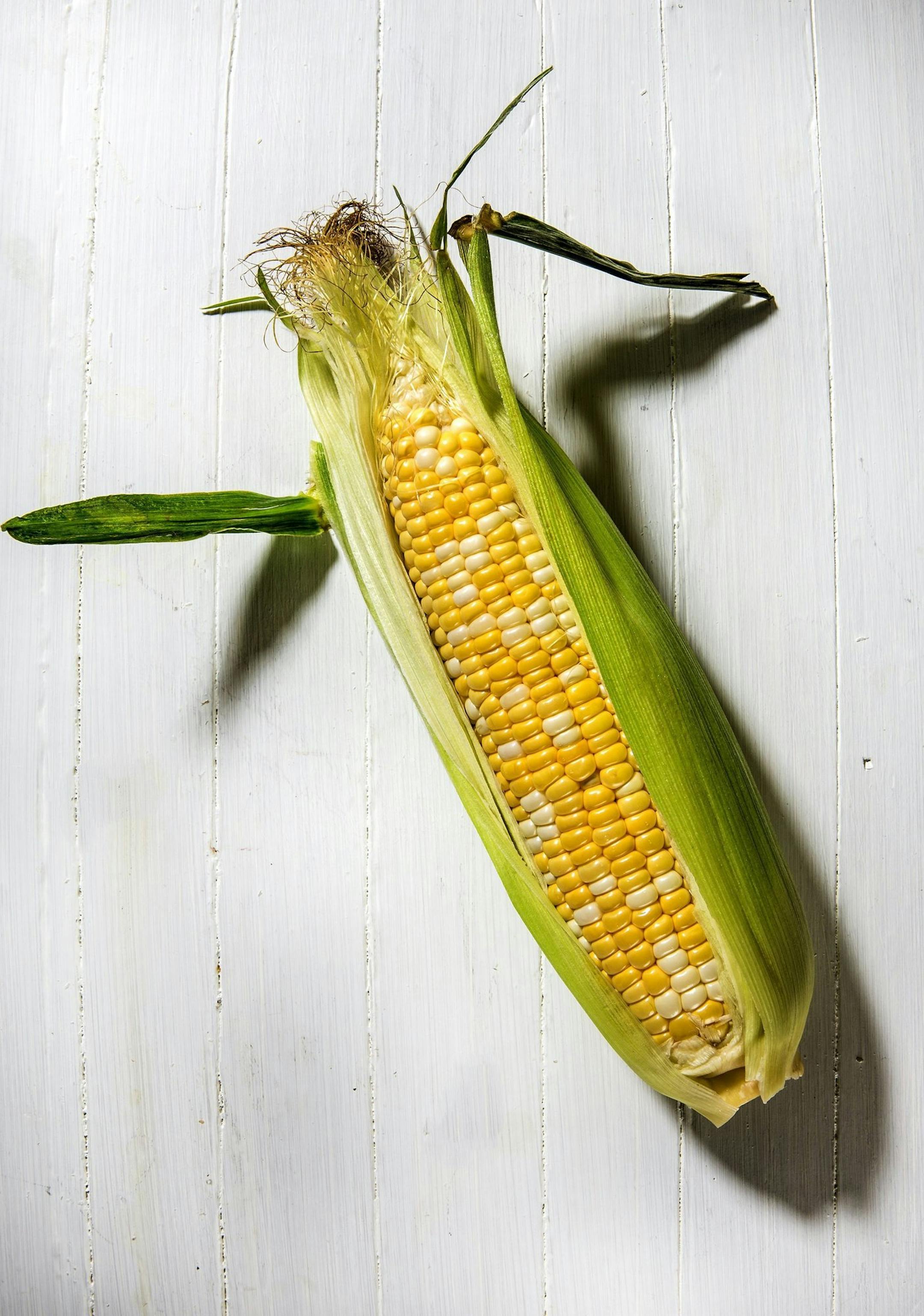 Indulge your appetite for sweet corn by shopping farmers markets, roadside stands and local grocers for freshly picked ears, then crunching your way around cob after cob after cob. (Bill Hogan/Chicago Tribune/MCT) ORG XMIT: 1140836
