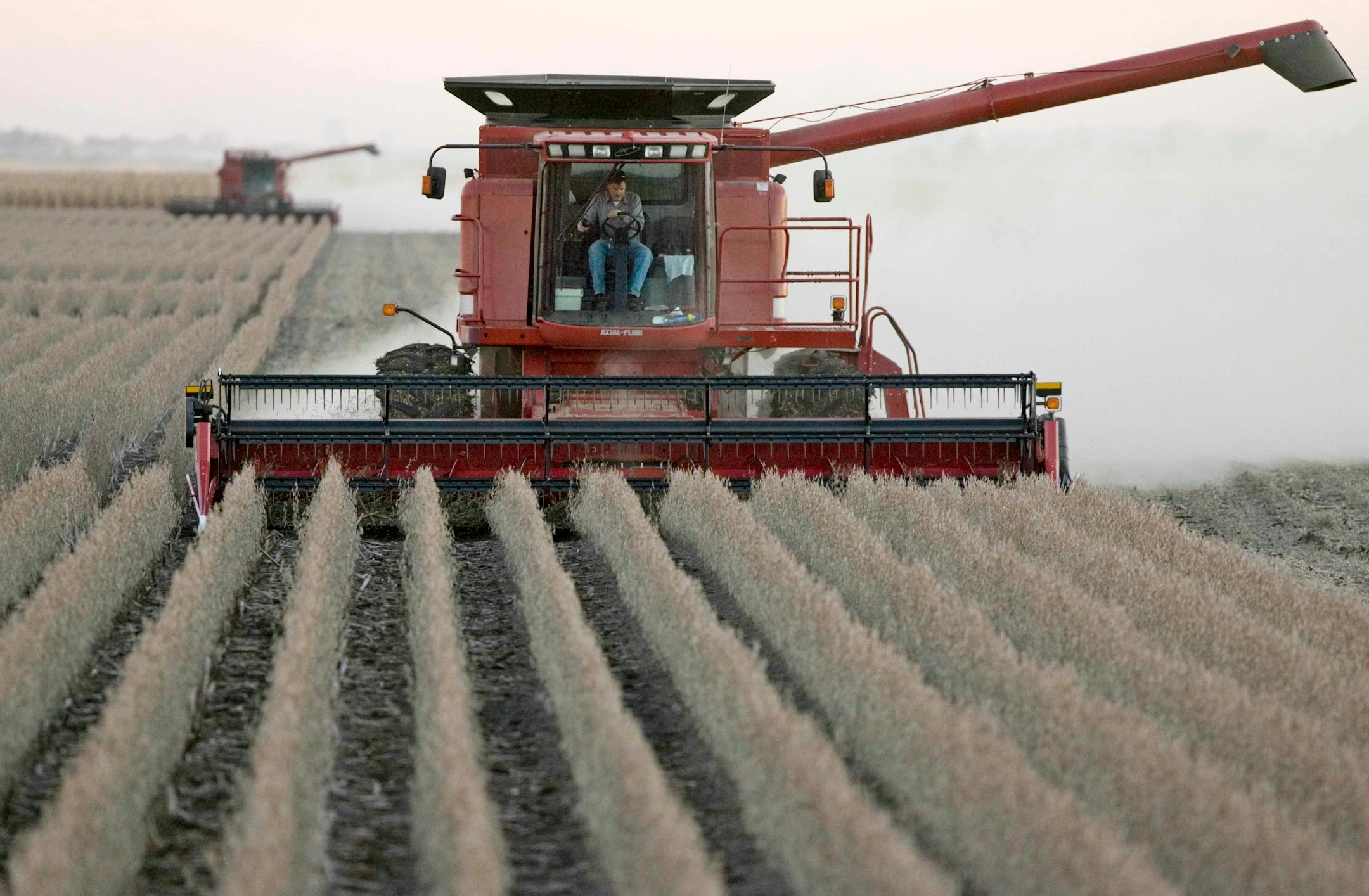 Farmers harvested soybeans near Modale, Iowa, last fall. Soybean planting is expected to be on the increase, especially in Iowa and Nebraska.