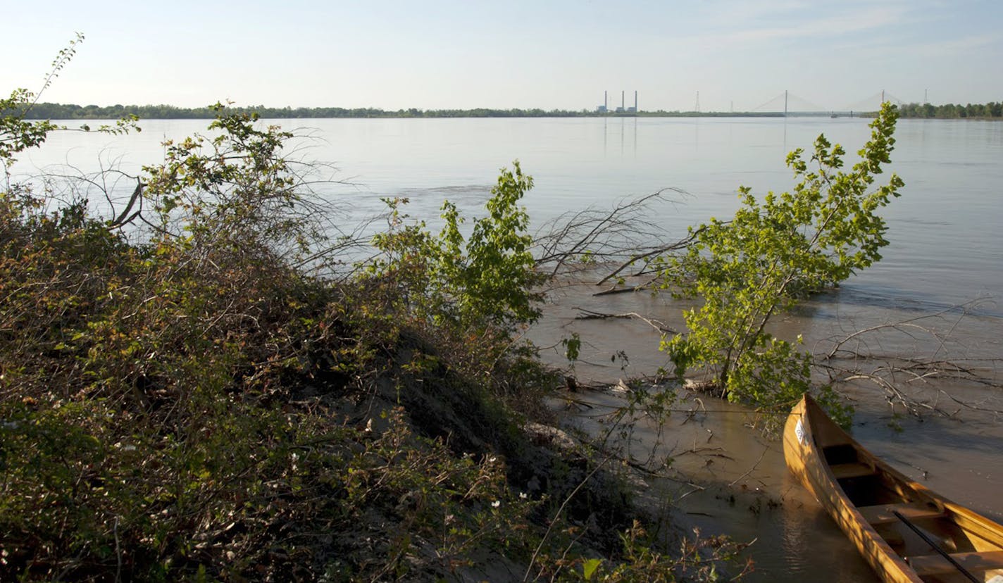 Songbirds and sycamore trees line the banks of the Lower Mississippi.