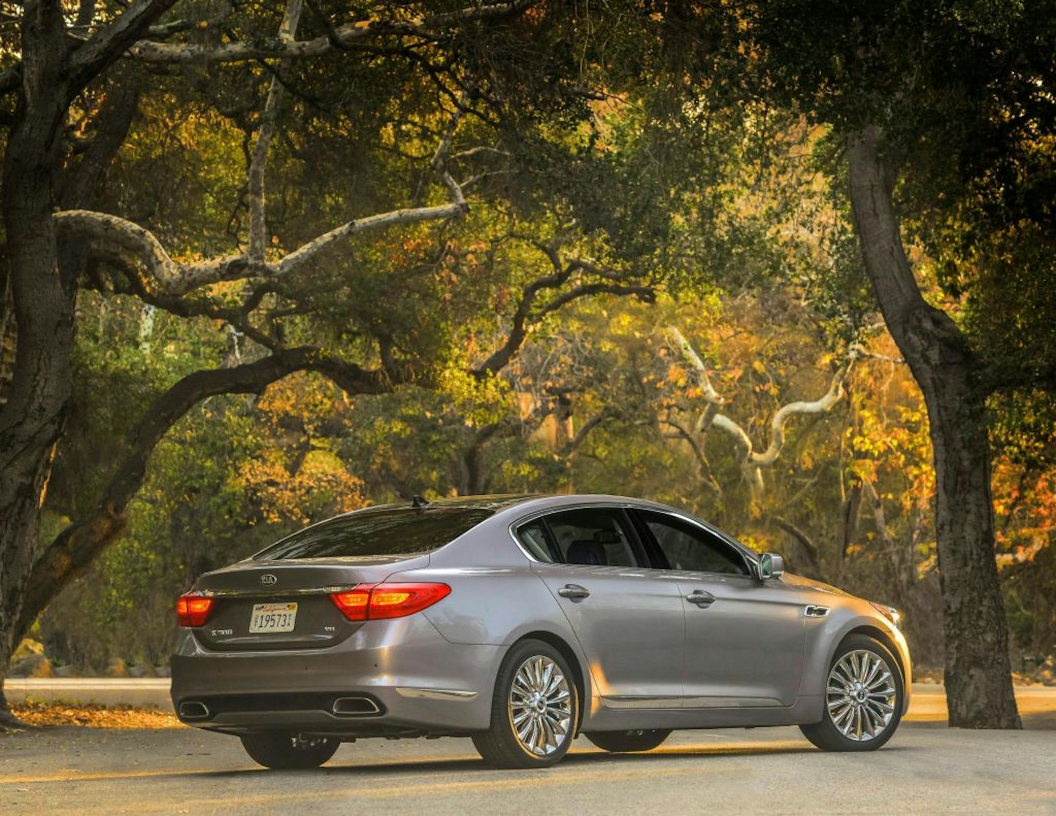 The 2015 Kia K900 is South Korea's version of the Westminster Kennel Club dog show. It's a display of automotive breeding that takes the most expensive luxury sedan from its Hyundai sister company,the Equus, and tweaks it for an even more value-oriented buyer.
