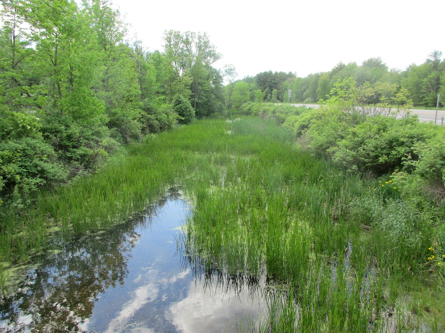 Part of the original canal bed near Rome, N.Y., is filling with silt and weeds. Some of the original canal is still used today, but the route shifted in other spots when the waterway needed to be widened and deepened. (John Bordsen/Chicago Tribune/TNS)