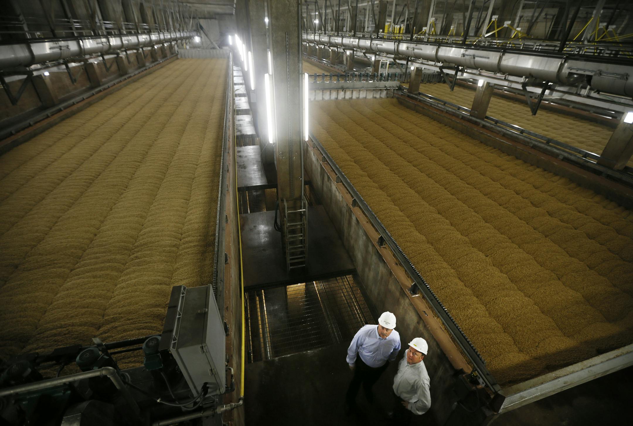 Gary V. Lee president and chief executive officer and William T. Rahr posed in front of barley durning the germination process. Profile of Shakopee-based Rahr Malting, founded in 1847 and today one the U.S.'s two largest barley malters, along with Cargill. Barley is the key ingredient in beer, of course, and malting is ancient practice.October 02, 2013 in Shakopee, MN.] JERRY HOLT &#x201a;&#xc4;&#xa2; jerry.holt@startribune.com