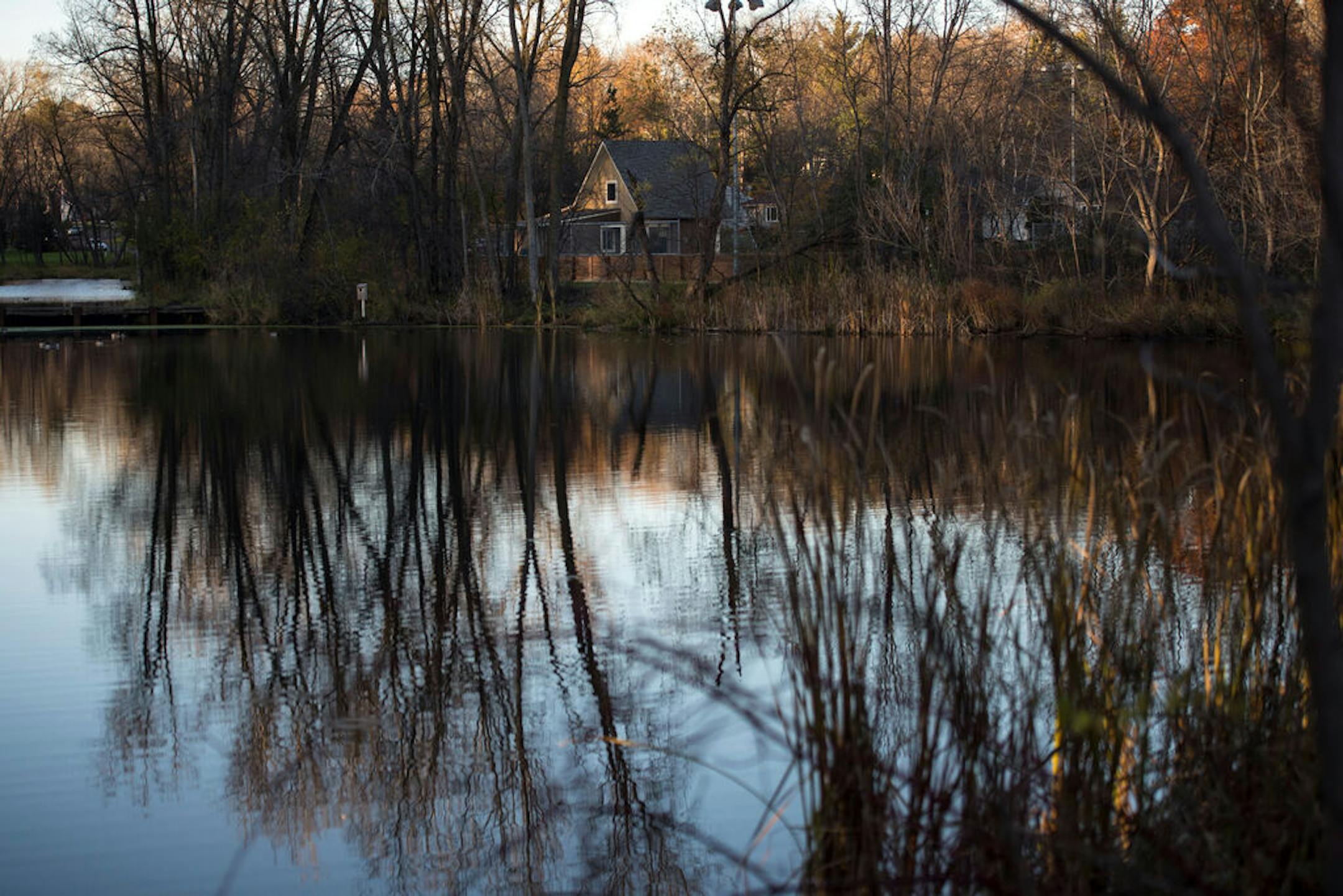 The Villa Park Wetland system near McCarrons Lake in Roseville. ] (AARON LAVINSKY/STAR TRIBUNE) aaron.lavinsky@startribune.com Runoff polluted with lawn chemicals and road salt pour into McCarrons Lake fueling algae growth that chokes other plants and wildlife. A new project will soon divert as much as 1.3 million gallons of that runoff from the lake. Rainwater will be captured, filtered and used to water the playing fields at Upper Villa Park. Construction on the water storage and filtration system started this month. Roseville and the Capitol Region Watershed District are partnering on the $851,000 conservation project. In total, the system will save up to 1.3 million gallons of water a year by capturing, filtering and reusing the runoff water. We photograph some of the stakeholders on Tuesday, Nov. 3, 2015 near the Upper Villa Park watershed system.