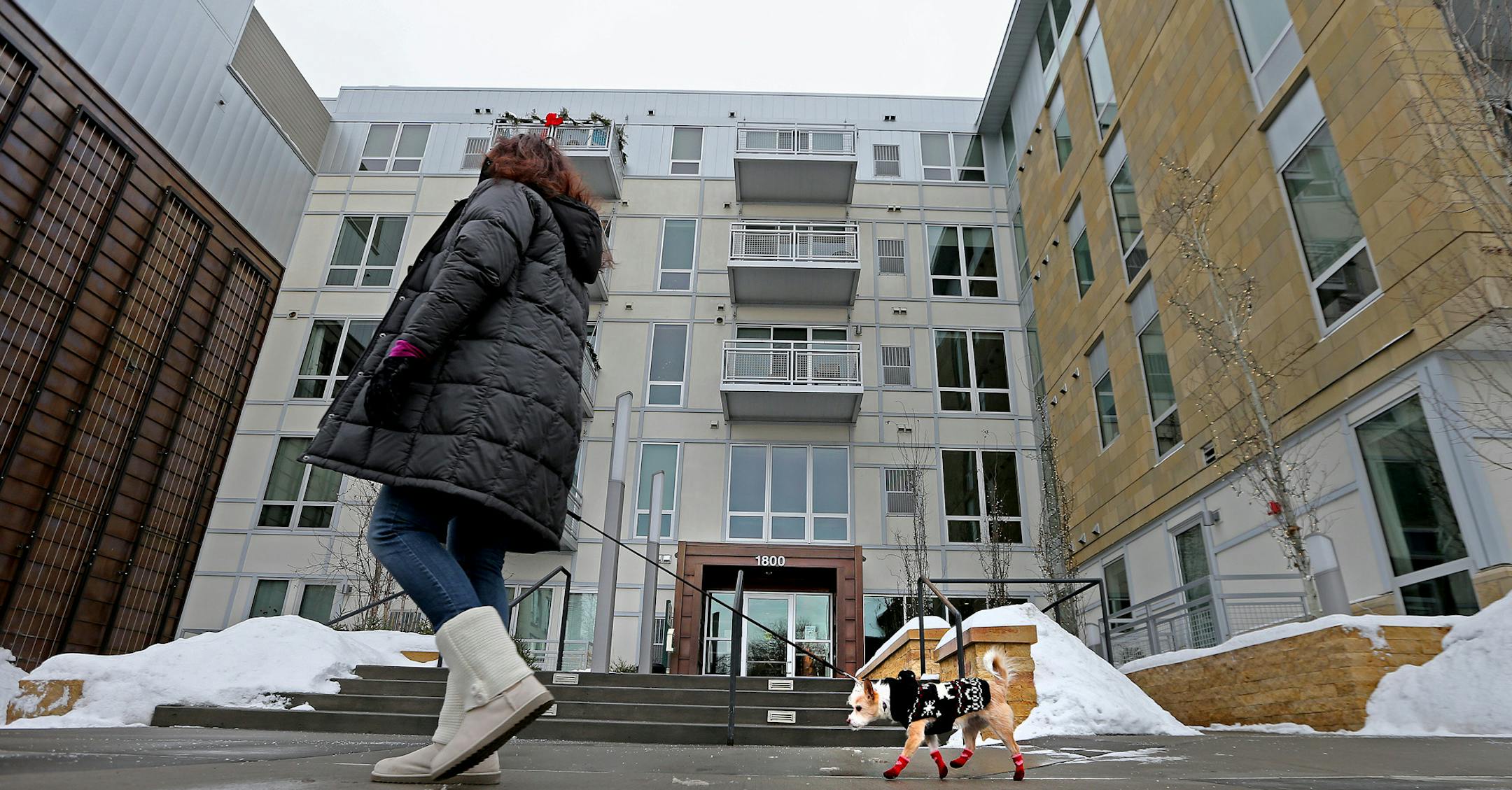 Lee Schuster of California made her way down a sidewalk with her dog "Elee" in front of an apartment building that is the site of controversy, Friday, December 27, 2013 in Minneapolis, MN. The city of Minneapolis is suing the owner of an Uptown luxury apartment building over what the city says is the illegal discharge of groundwater into the lagoon between Isles and Calhoun.The water is being pumped out to keep the building's two stories of underground garage dry. Critics say the 55-degree groun