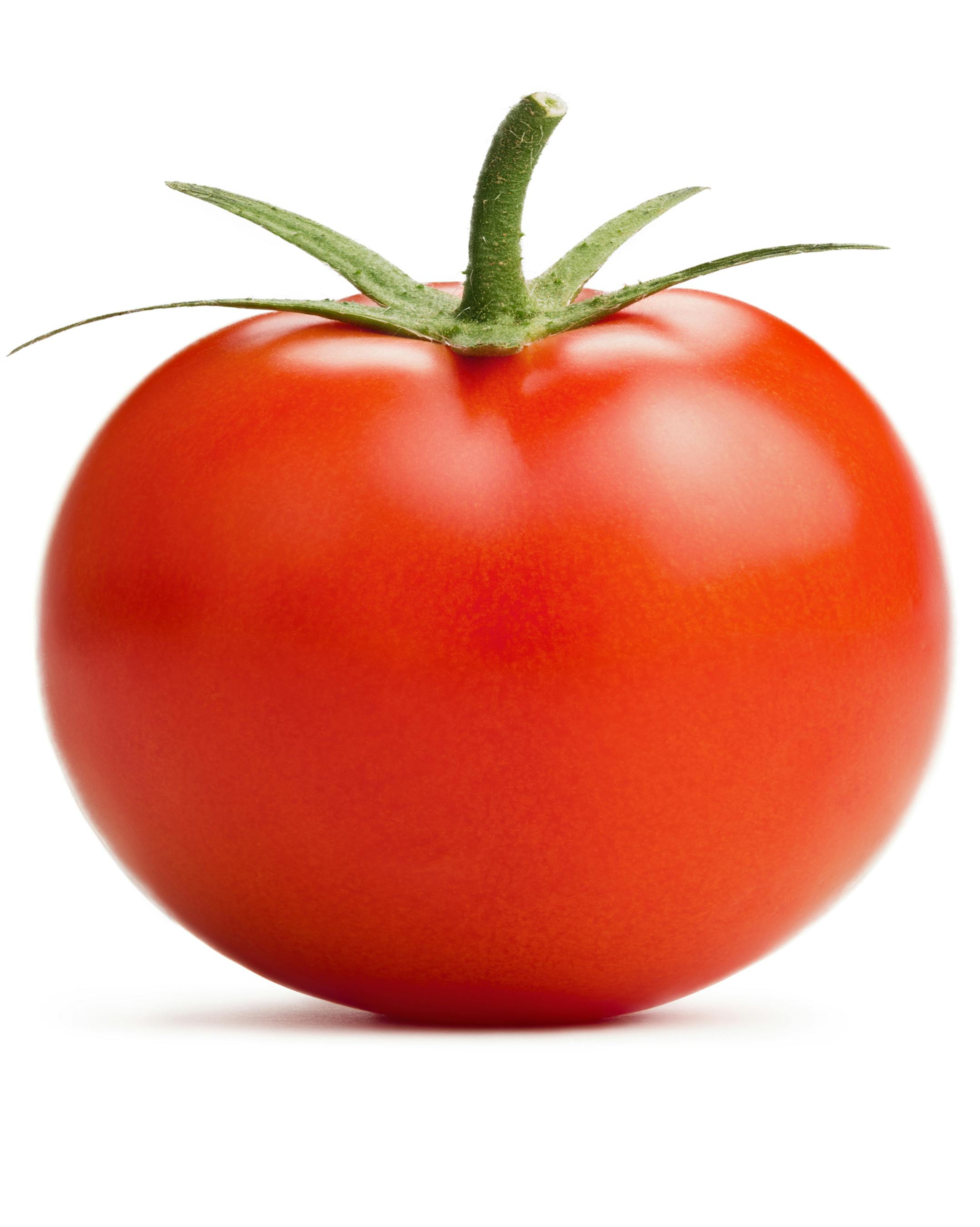 Tomato