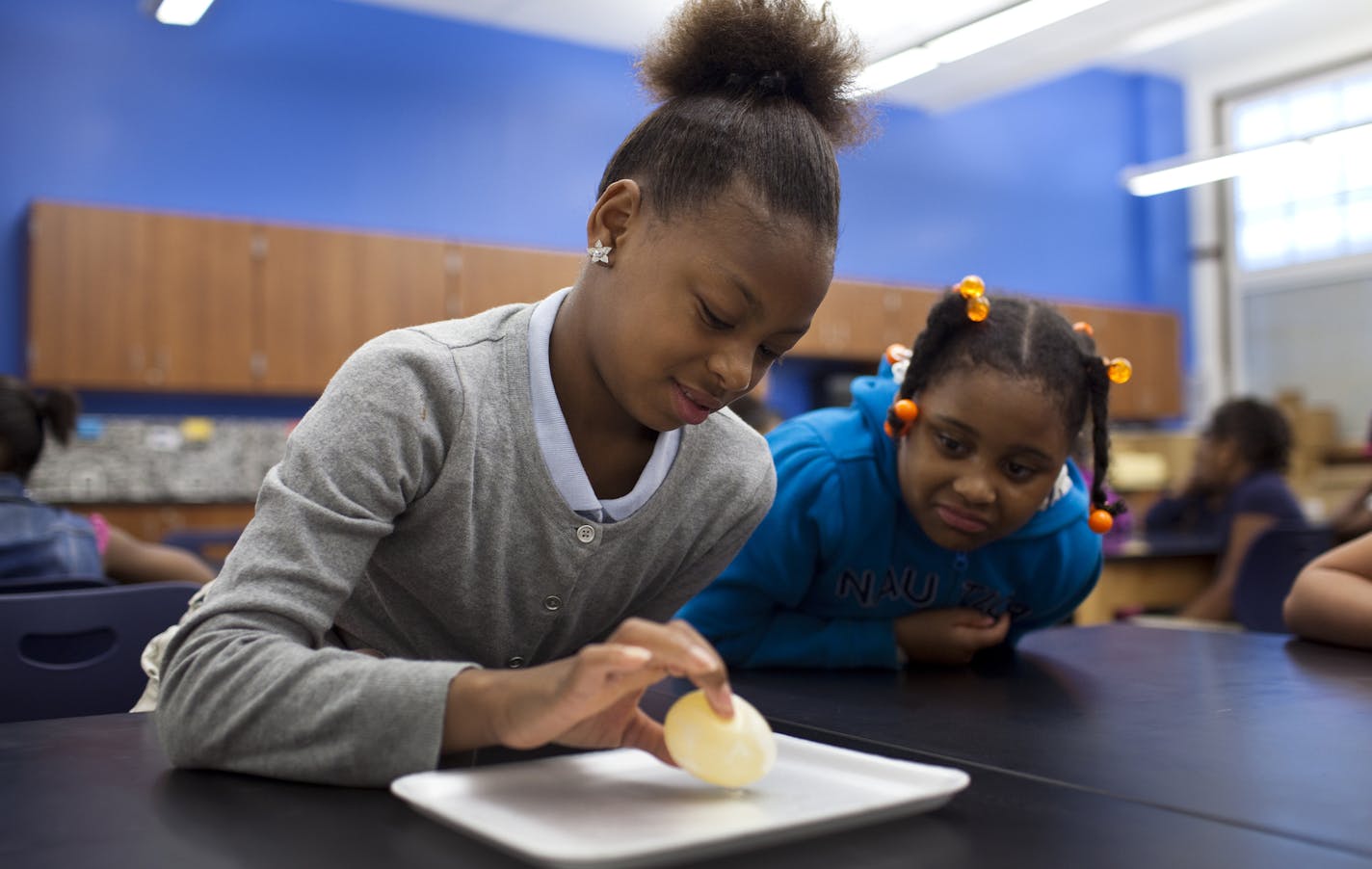 Fourth graders Shalana Crompley and Davosha Holmes inspect an egg that has been in vinegar for two days in their science class at Rothenberg Preparatory Academy on Wednesday, April 30, 2014 in Cincinnati, Ohio.