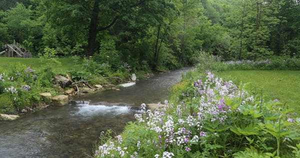 Beaver Creek Valley State Park's namesake stream flowed clear Tuesday before a violent thunderstorm struck the area.