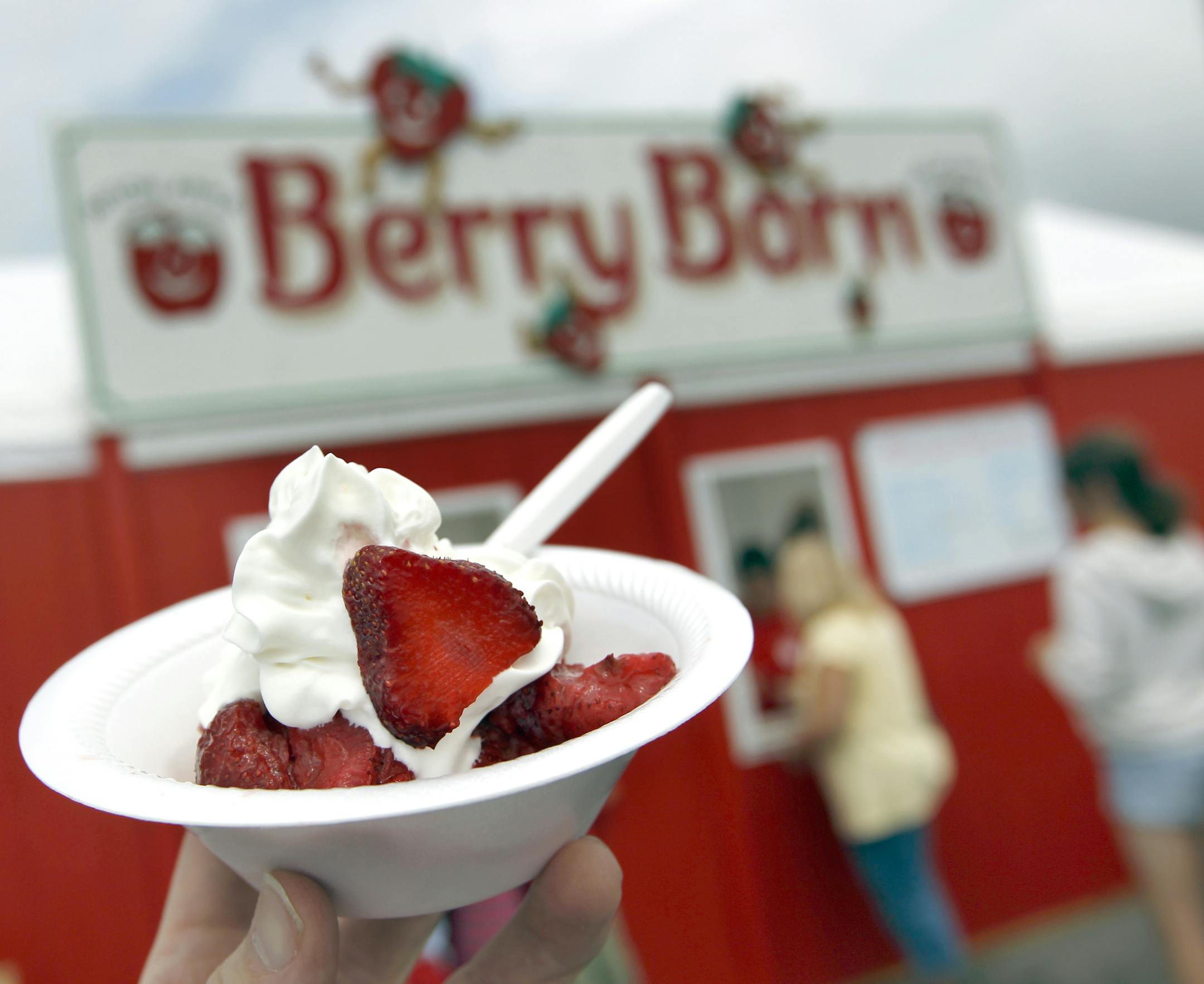 Afton Apple's berry farm stand serves up fresh strawberries and Strawberry shortcakes. The Cottage Grove Strawberry Fest is a four-day, family focused eventheld in Kingston Park. [ TOM WALLACE • twallace@startribune.com _ Assignments #20024033A_ June 16, 2012_ SLUG: food0712_ EXTRA INFORMATION: CQ'ed by subject.
