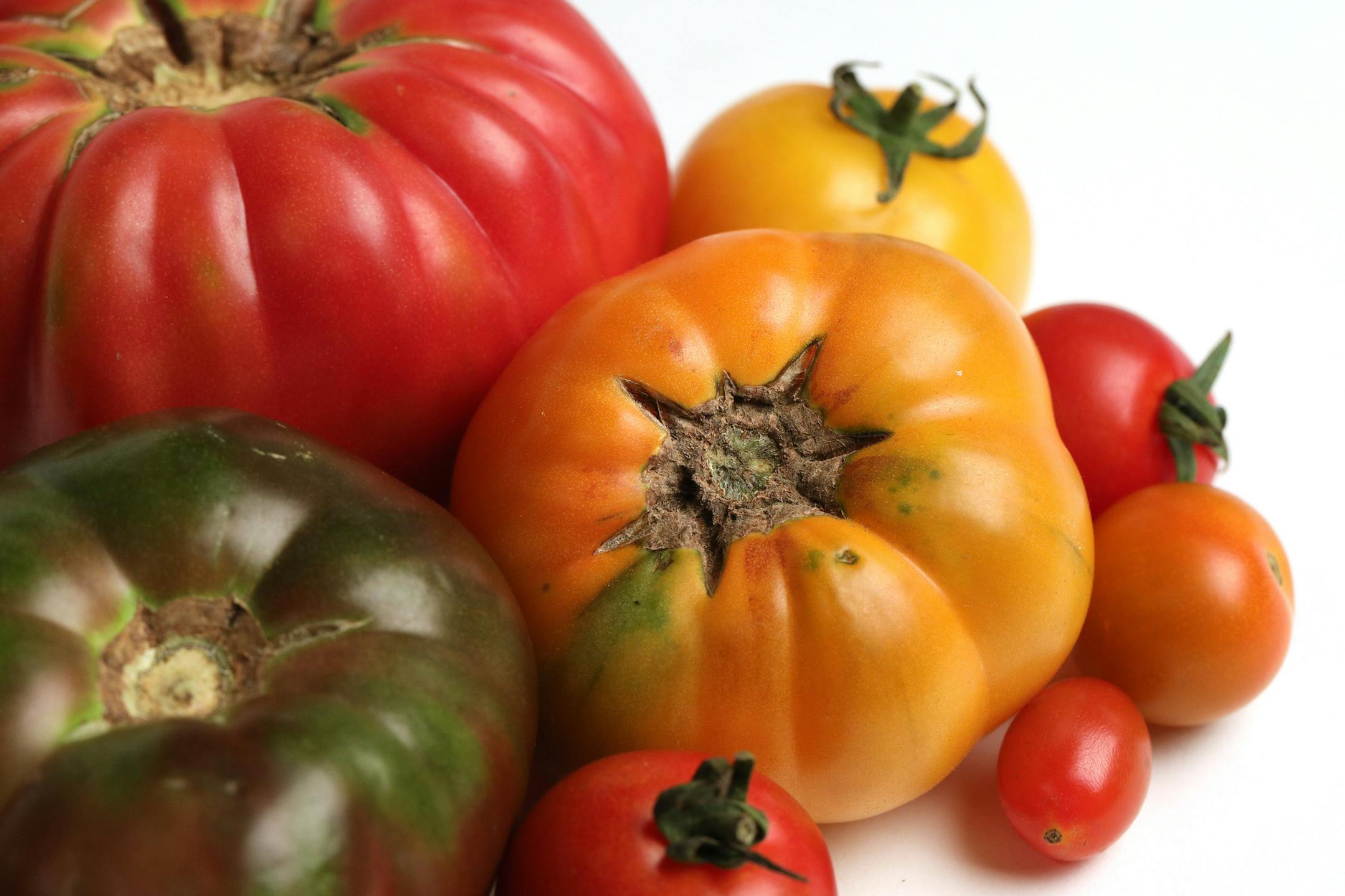Tomatoes are the backbone of many favorite dishes.