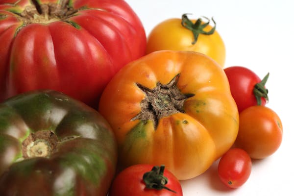 Tomatoes are the backbone of many favorite dishes.