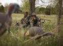 Minnesota turkey hunters will face a new season structure this spring. The deadline is Friday to apply for permits to hunt the first two seasons. ORG 