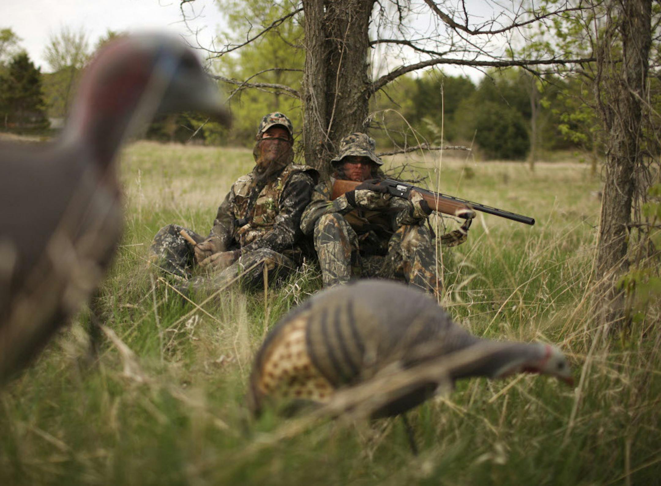 Minnesota turkey hunters will face a new season structure this spring. The deadline is Friday to apply for permits to hunt the first two seasons. ORG XMIT: MIN1404221140140556